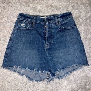 Abercrombie and Fitch dad shorts
